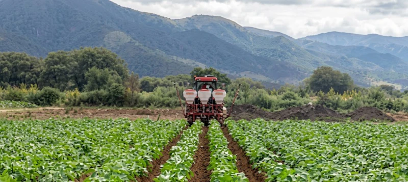 ADB-380 Fertilizer Applicator in operation – banded fertilizer application along potato rows before hilling on commercial farm