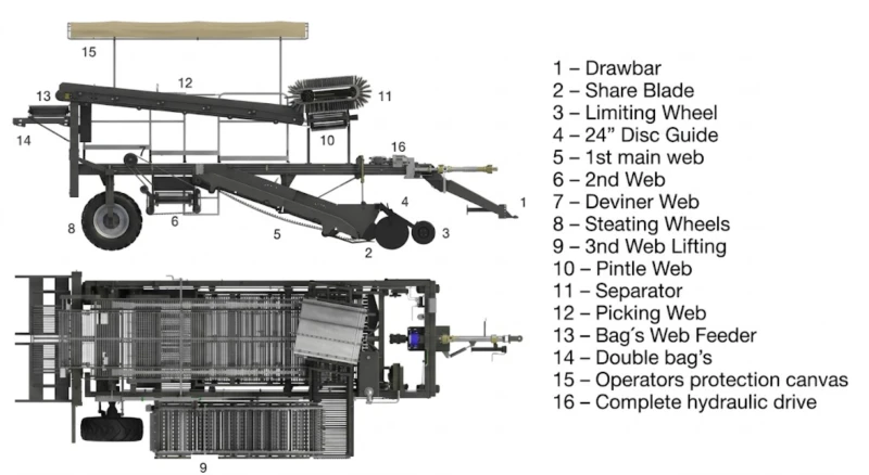 CWB-2L Potato Harvester internal structure – digging shares, multi-stage sieve webs, haulm separation, inspection area, and high-reach elevator