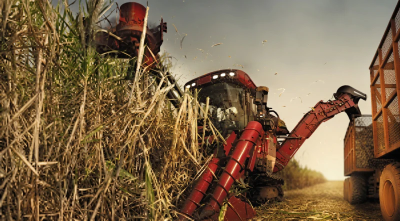 Sugarcane harvest and plantation road maintenance using a heavy duty agricultural stone crusher attachment